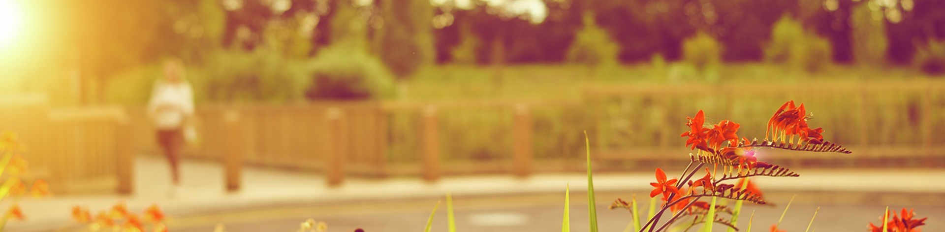 News article hero image